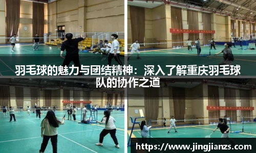 万博(max·中国)体育官方网站
