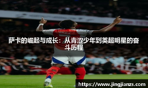 星空.综合体育官网